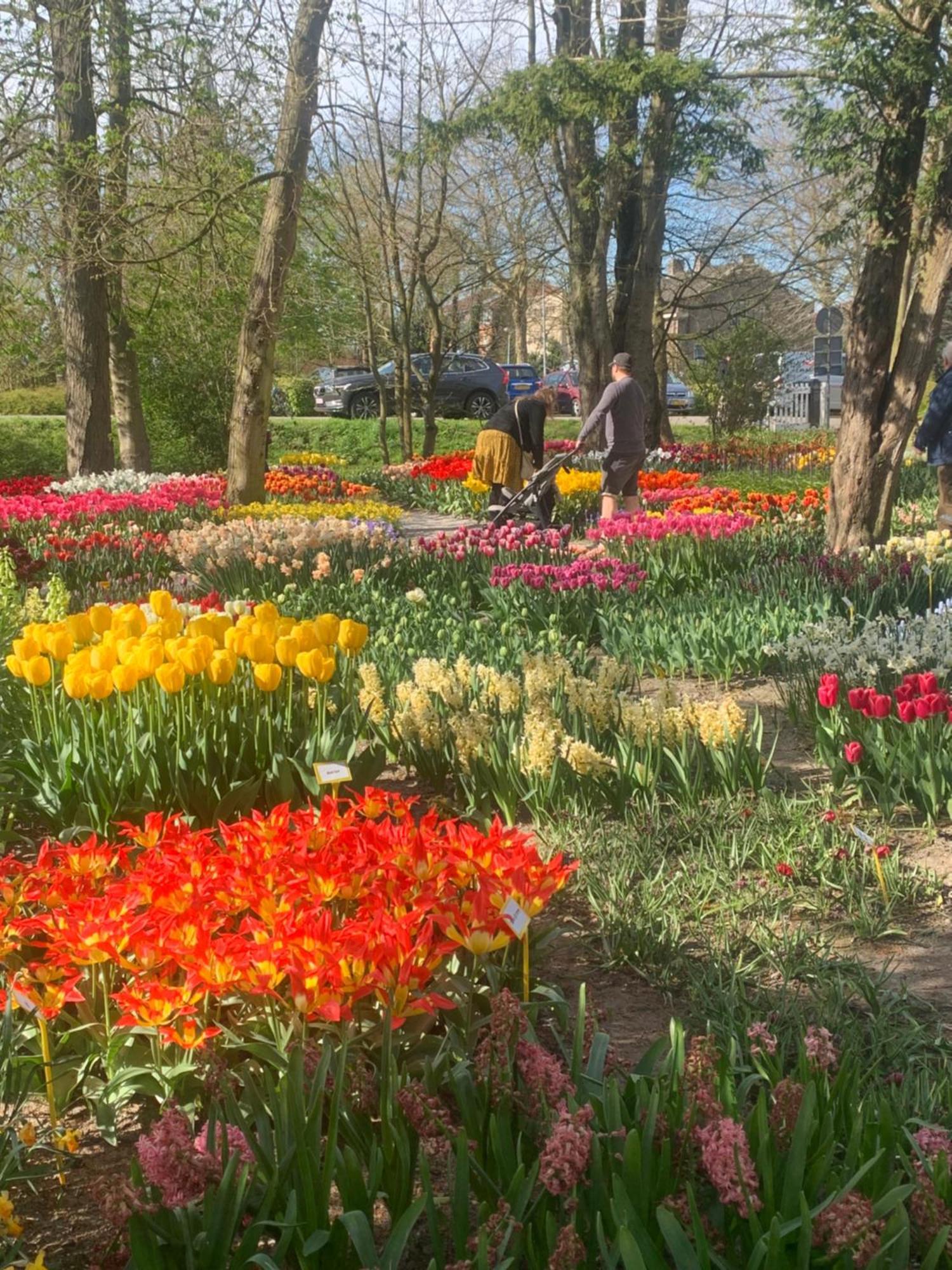 مبيت وإفطار 't Zand Bloem & Bed المظهر الخارجي الصورة