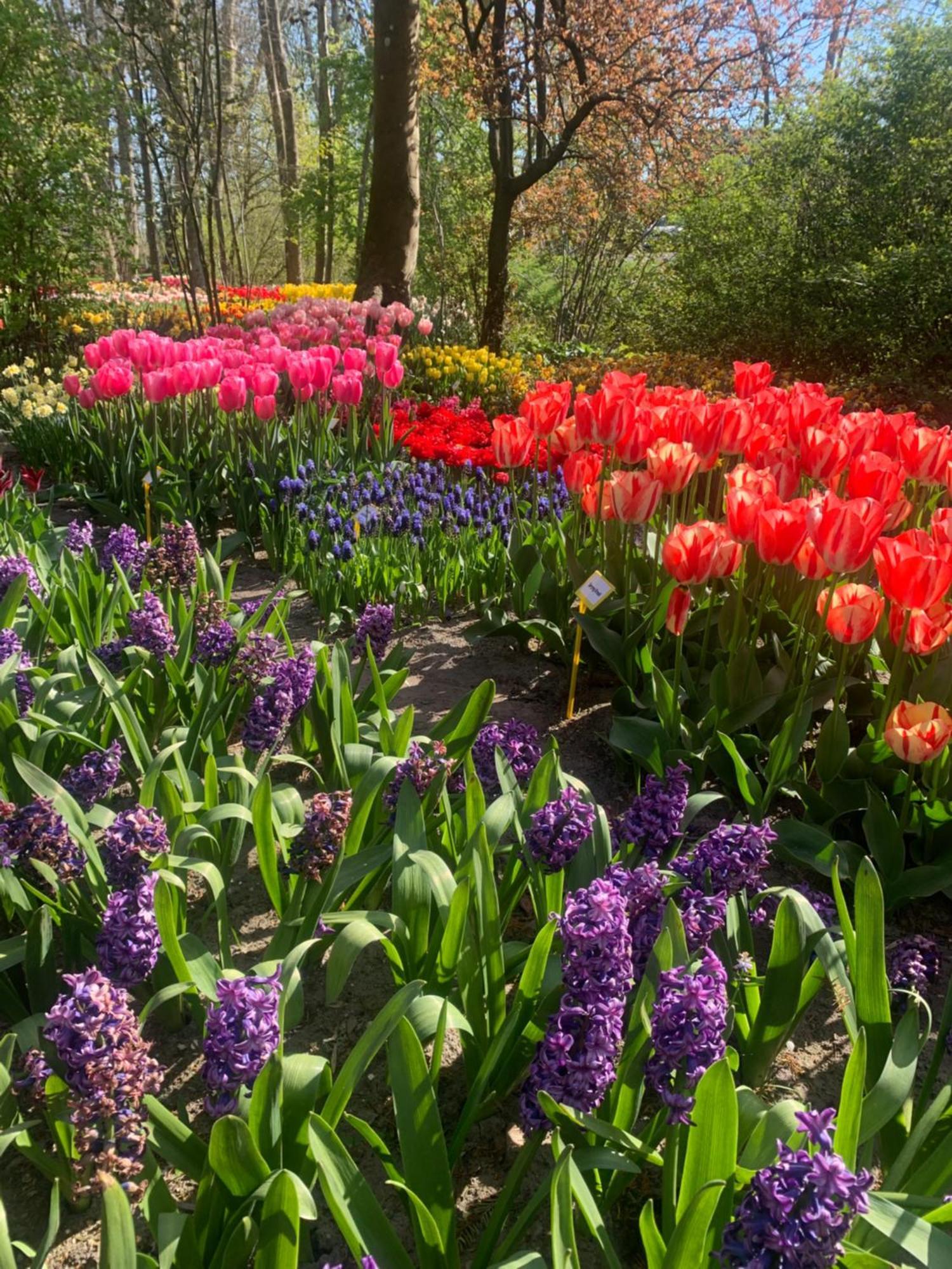 مبيت وإفطار 't Zand Bloem & Bed المظهر الخارجي الصورة